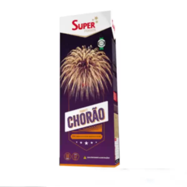 20 Modelos de Foguetes